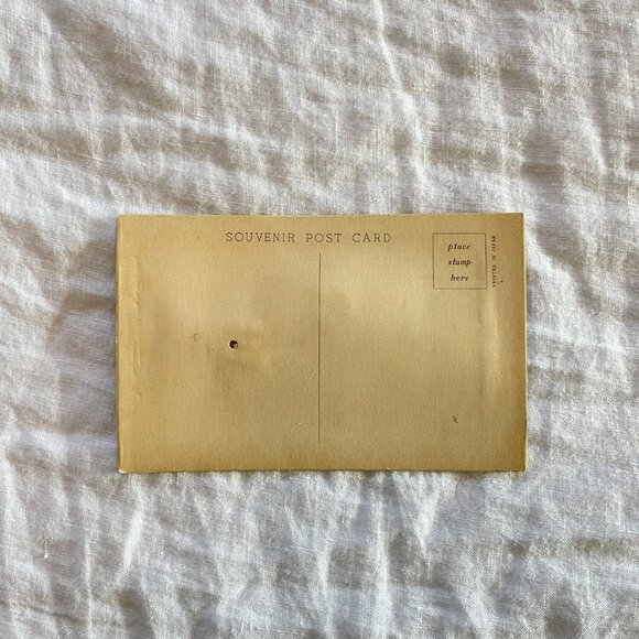 Alfred Mainzer German Shepherd Dog Squeaking Postcard - Picture 6 of 9